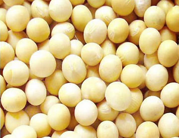 thuc-pham-tot-cho-rang-loi-01-1 thuc-pham-tot-cho-rang-loi-01